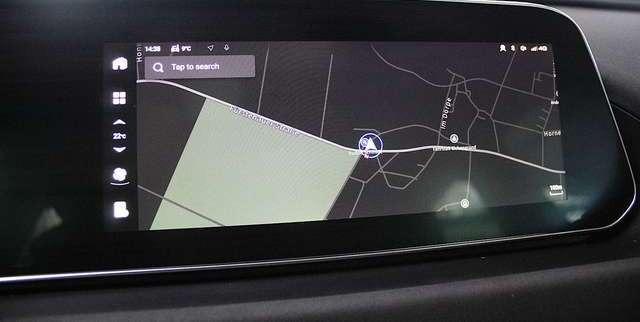 Ora Funky Cat ORA 03  300