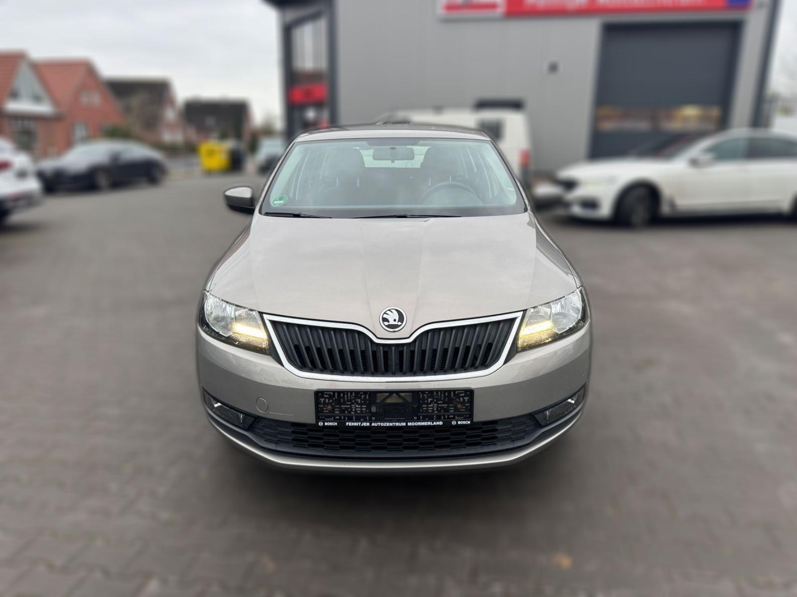 Skoda Rapid Spaceback Ambition PDC MFL Temp SHZ 1 Hand