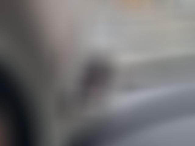 GWM Ora 03 400 PRO inkl. Wärmepumpe