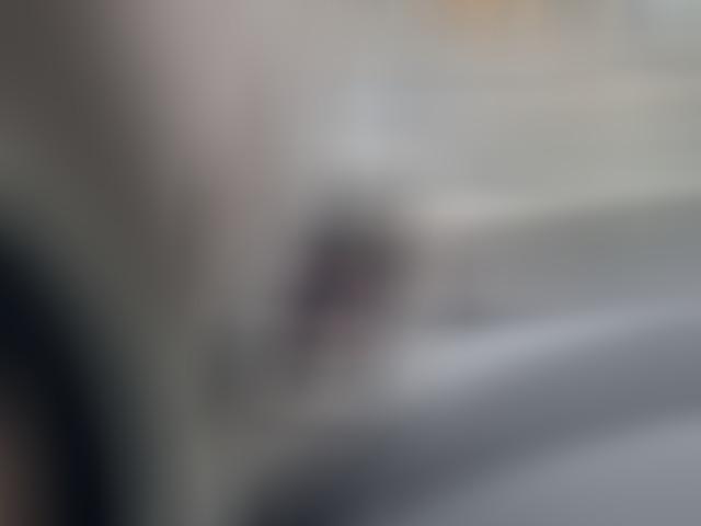 Ora Funky Cat Ora 03 400 PRO inkl. Wärmepumpe