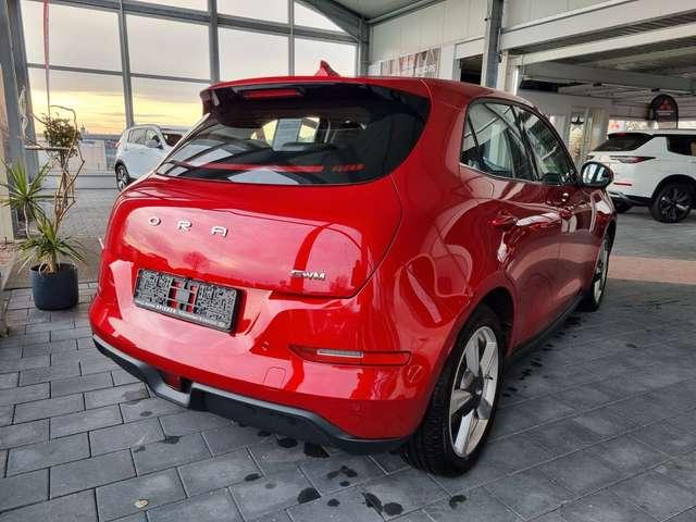 Ora Funky Cat Ora 03 300