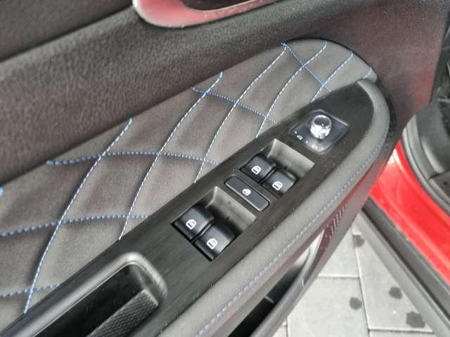 Ora Funky Cat Ora 03 300