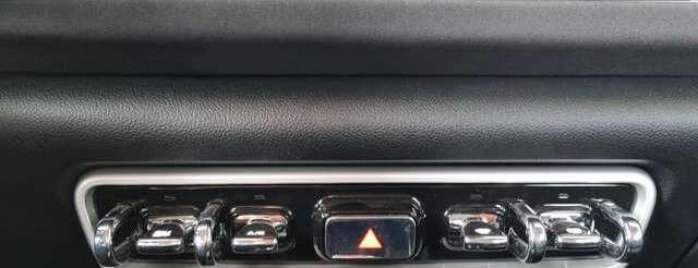 Ora Funky Cat Ora 03 300