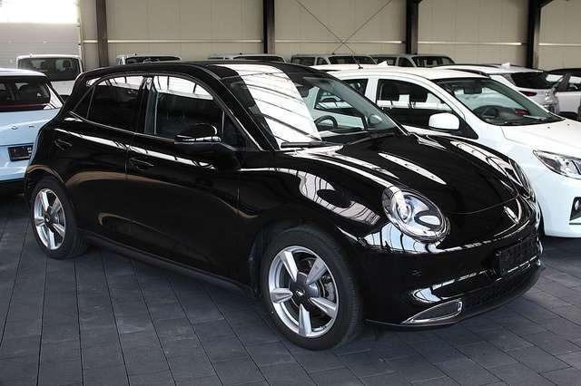 Ora Funky Cat Ora 03 300 PRO