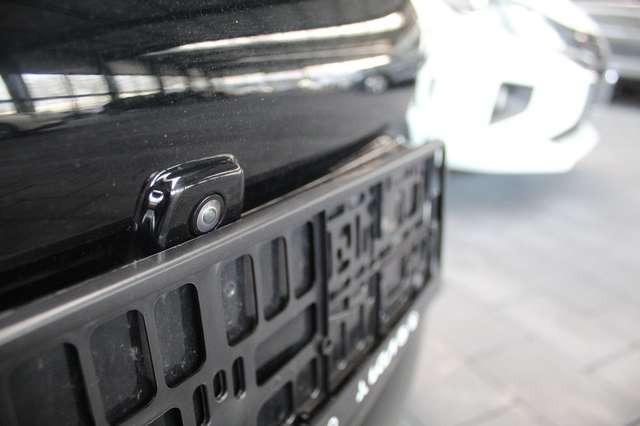 Ora Funky Cat Ora 03 300 PRO