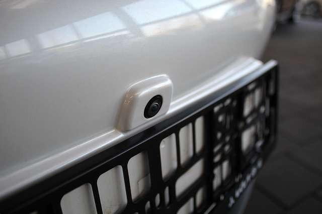 Ora Funky Cat ORA 03  300