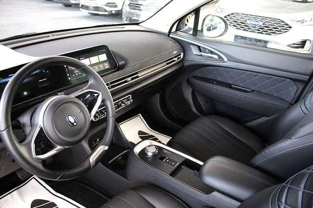 Ora Funky Cat ORA 03  300