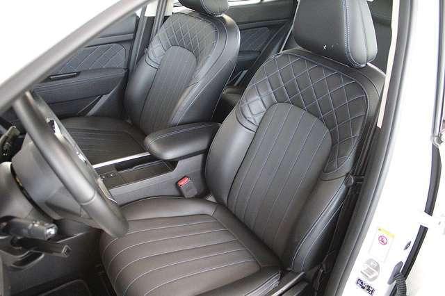 Ora Funky Cat ORA 03  300