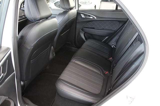 Ora Funky Cat ORA 03  300