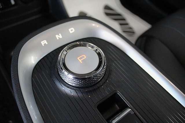 Ora Funky Cat ORA 03  300