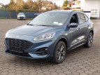 Bild Ford Kuga ST-Line X PHEV AHK + Techno. + Fahreras.-P. + Winterp.