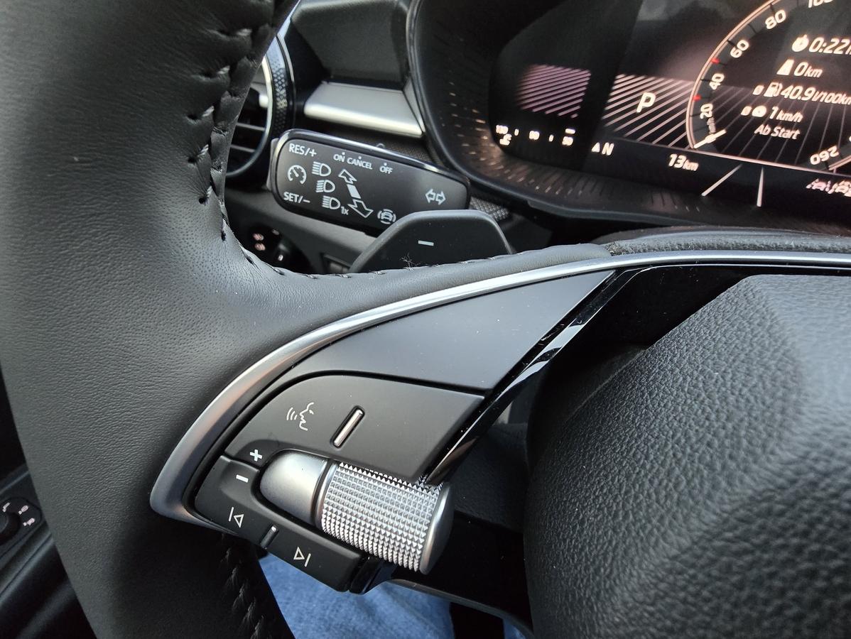 Skoda Fabia 1.0 TSi Selection 115 PS DSG #RFK #SHZ# KLIMA #LED 