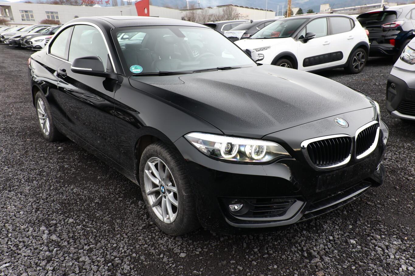 BMW 218 2er i Advantage  LED Leder Schiebe SHZ