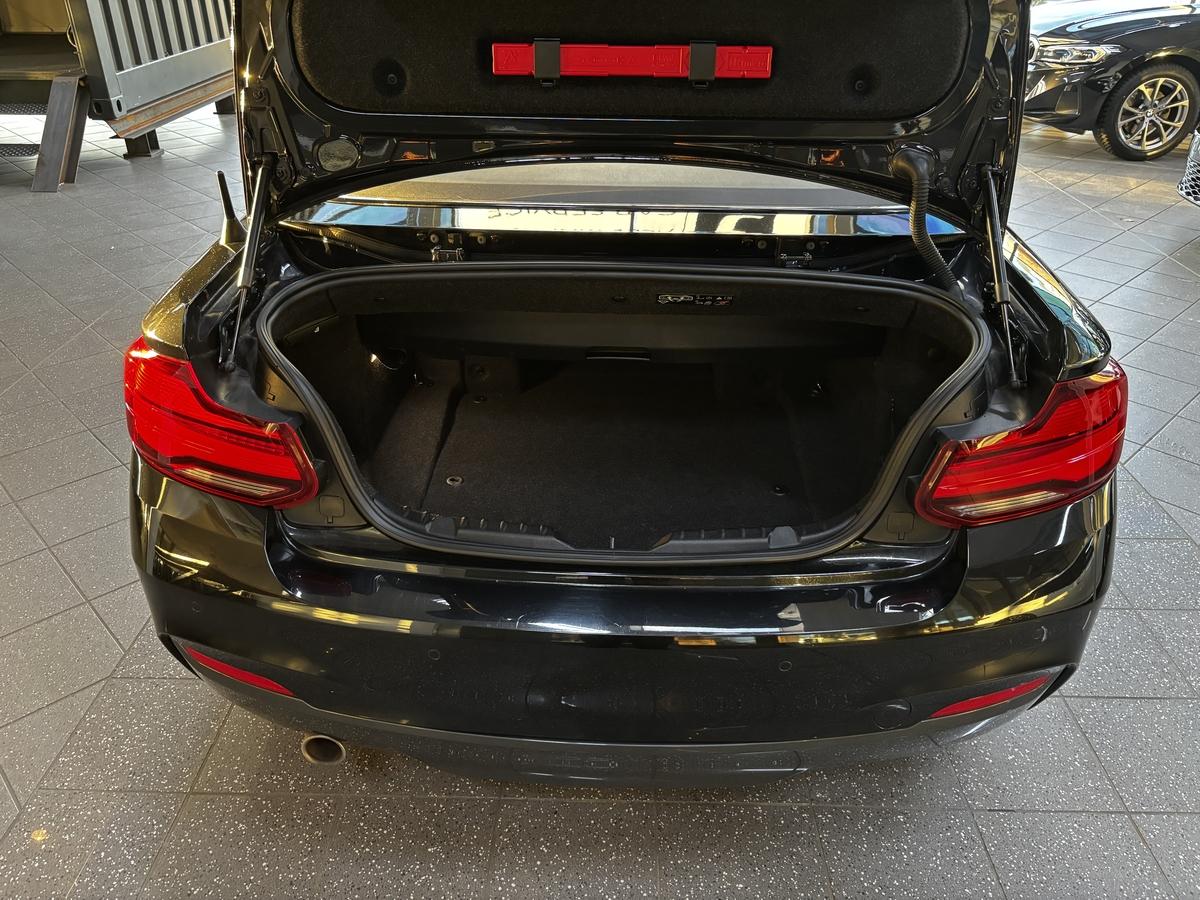 BMW 218 i Cabrio M Sport LED R.Cam Navi Prof. 