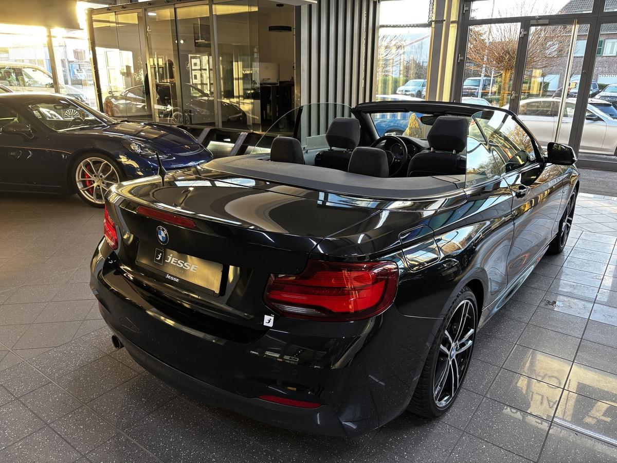 BMW 218 i Cabrio M Sport LED R.Cam Navi Prof. 