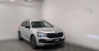 Bild Skoda Kamiq Drive 1,5 TSI MATRIX PDC CARPLAY VIRTUAL