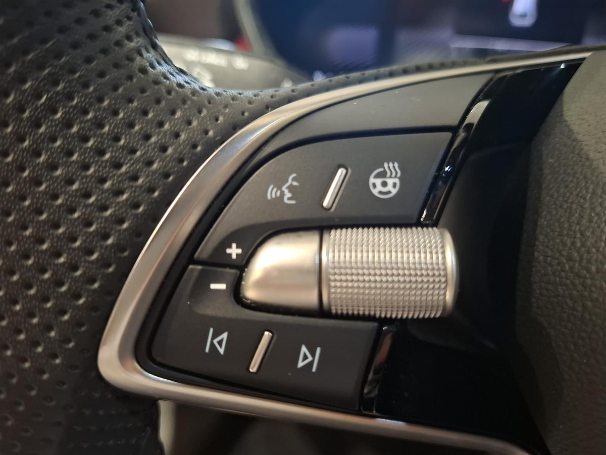 Skoda Fabia Monte Carlo Panorama Garantie Voll-LED