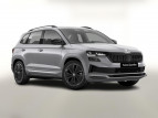Bild Skoda Karoq DSG Sportl Matrix Nav 360 Canton ACC Kessy