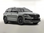 Bild Skoda Karoq DSG 4x4 Sportl AHK Matrix Nav 360° Family