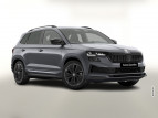Bild Skoda Karoq DSG Sportl Matrix Nav 360 Canton ACC Kessy