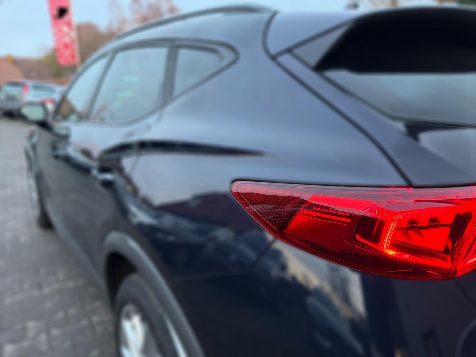 Cupra Formentor 2,0 TDI LEDER MEMORY NAVI LED AMBIENTE