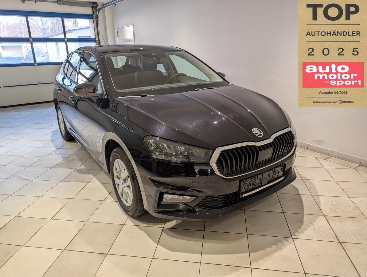 Skoda Fabia AHK 5J. Garantie SHZ PDC GRA