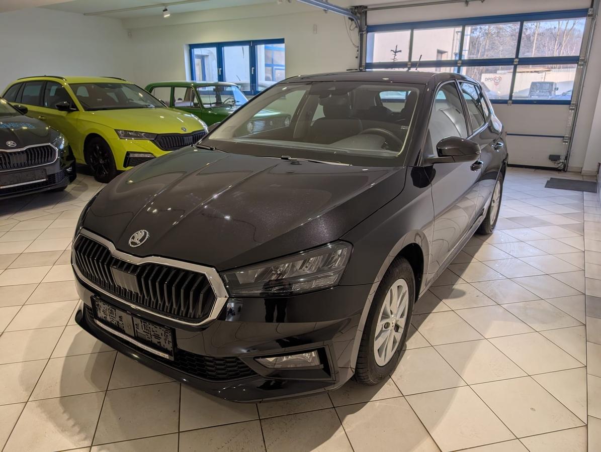 Skoda Fabia AHK 5J. Garantie SHZ PDC GRA