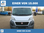 Bild DAF Verkaufsfahrzeug SEICO Fleischer-Metzger...