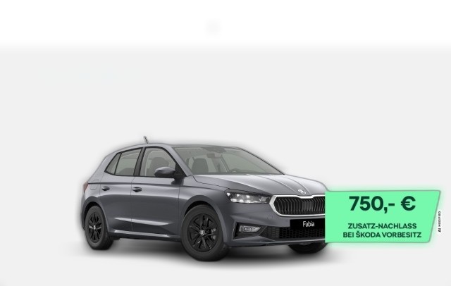 MF Selection 1.0TSI Licht&Sicht Winter+ SideAssist Parken