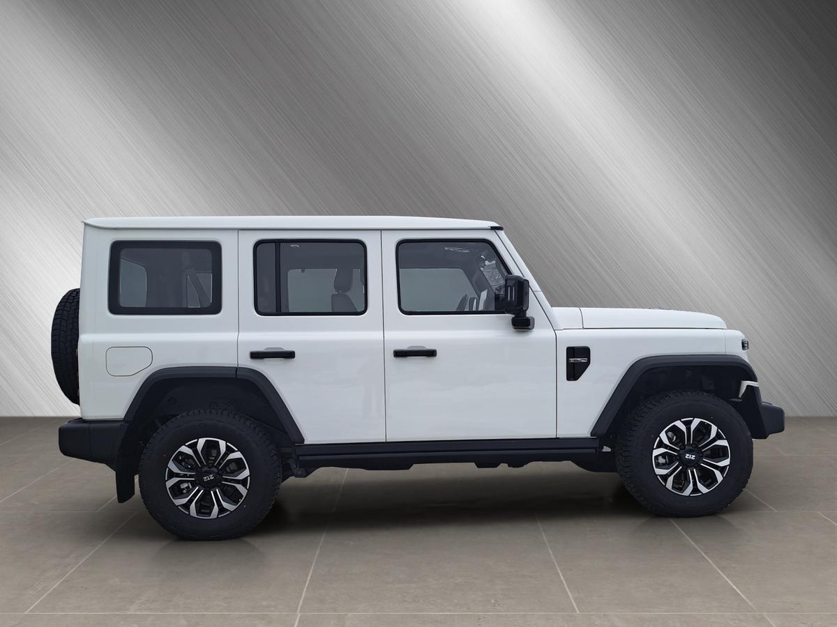 BAW 212 BAW 212 *4x4*LED*SHZ*Winde*DAB*360°*Konservierung*