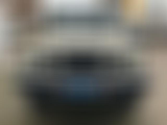 Ineos Grenadier Diesel AHK AT *perfekt fürs Grobe*