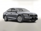Bild Skoda Octavia DSG Selec Matrix Nav Kessy Kam SHZ vEHK