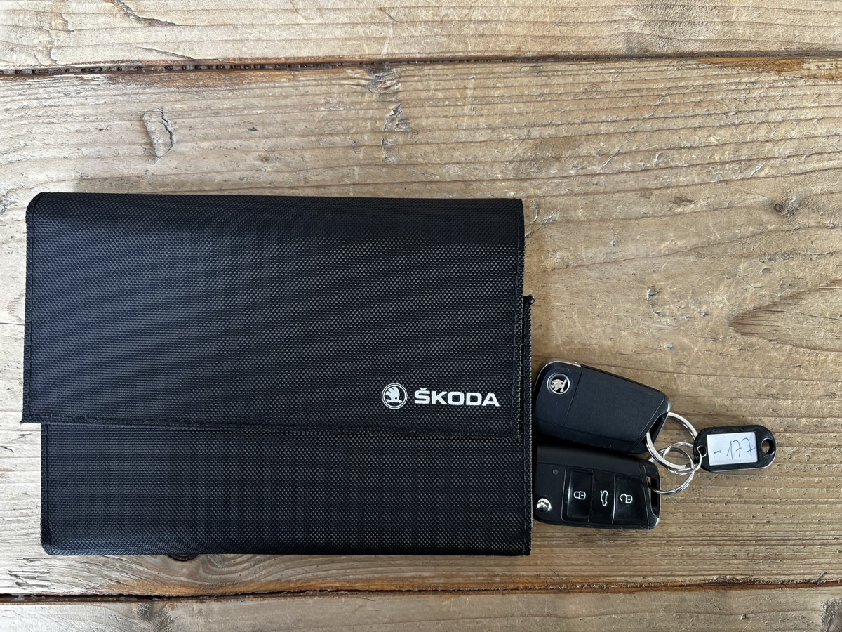 Skoda Karoq 1.0 TSI Style LED Temp. CarPlay PDC 