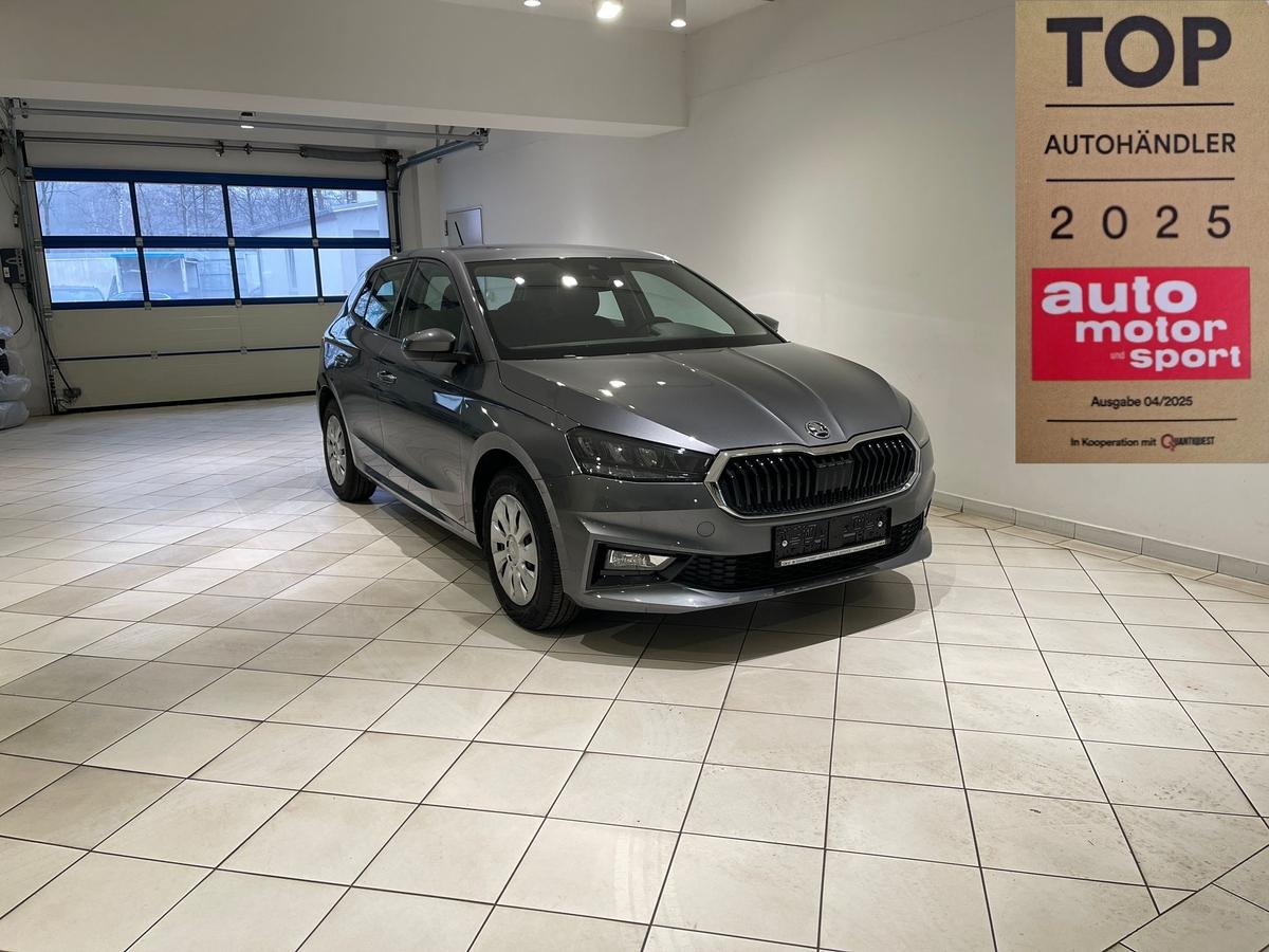 Skoda Fabia 1,0MPI 5J Garantie GRA PDC SHZ