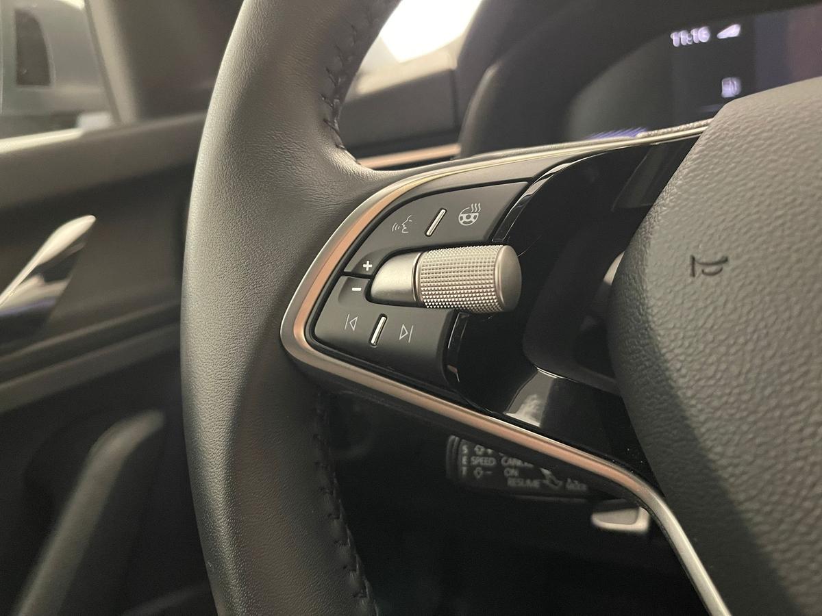 Skoda Scala DSG 5J Garantie Matrix ACC Winterpaket