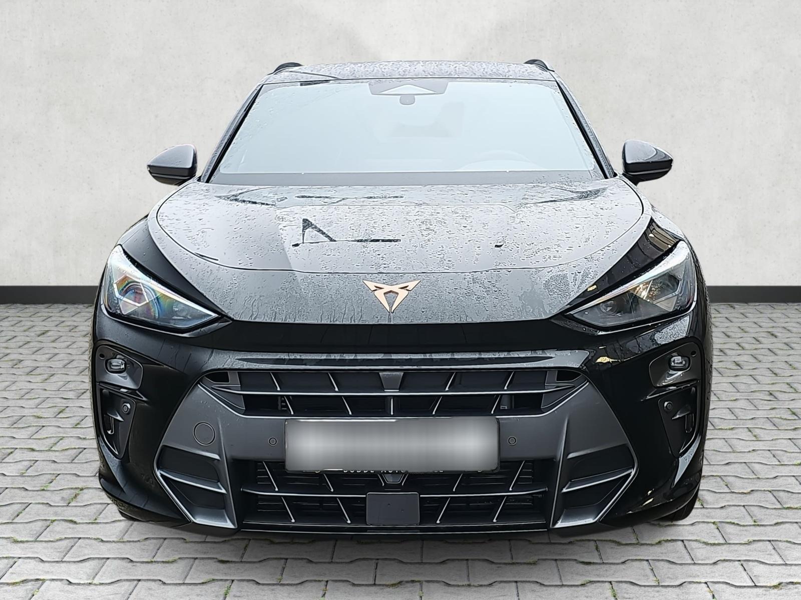 Cupra Terramar VZ 2.0 TSI DSG 4Drive 5JGar. Memory AHK