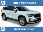 Bild Skoda Kodiaq Sportline MATRIX+CANTON+13