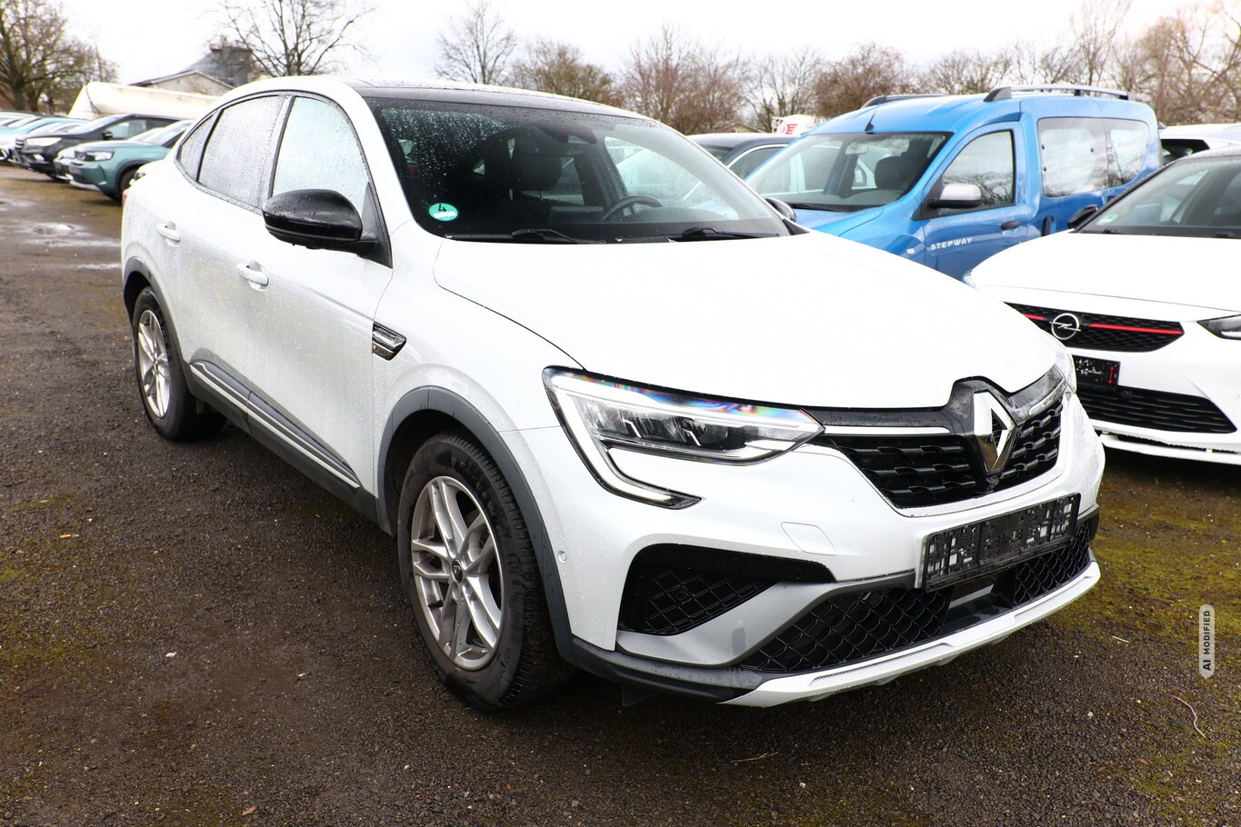 Renault Arkana 1.3 TCe 160 MHEV EDC R.S. Line Nav Kam360