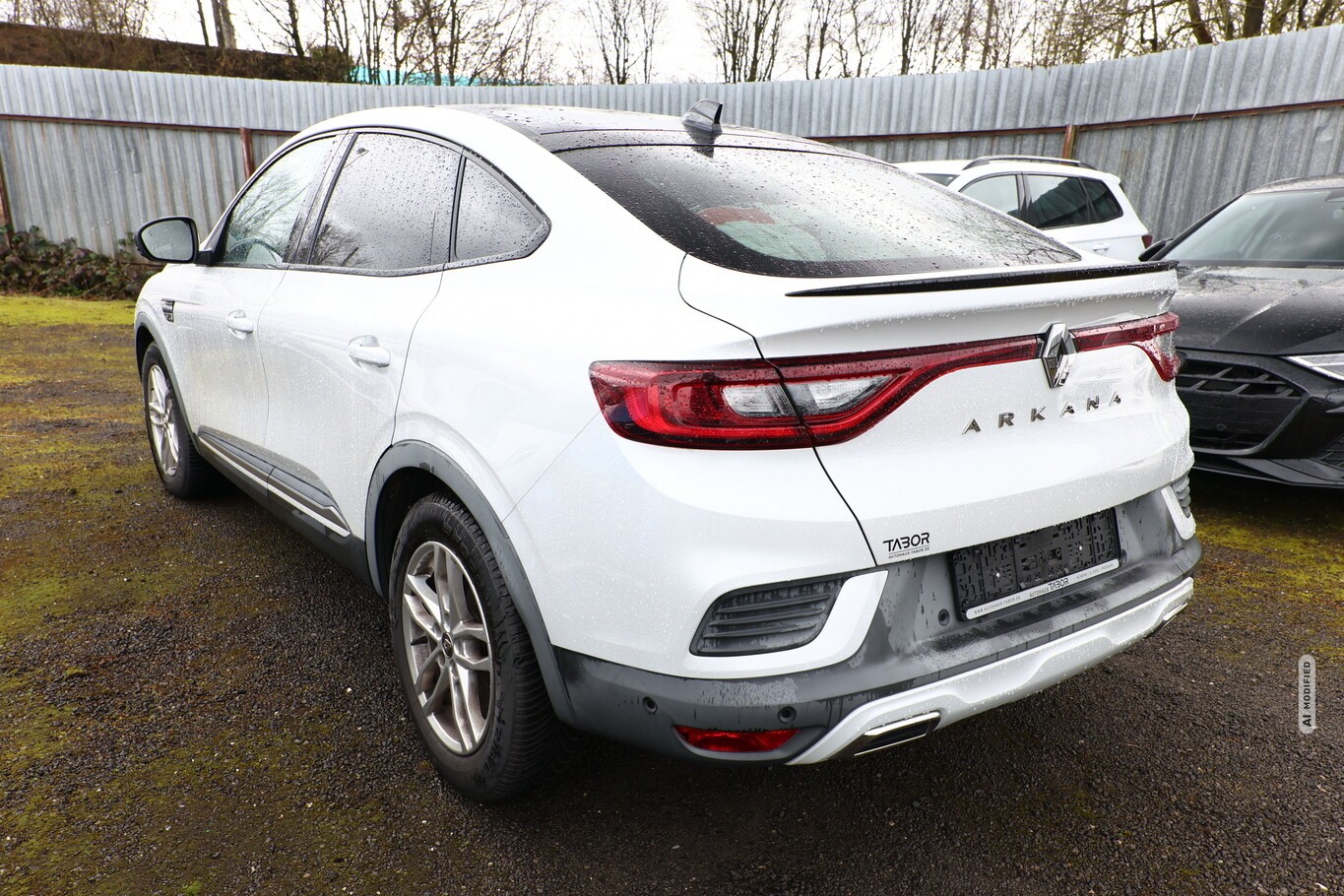 Renault Arkana 1.3 TCe 160 MHEV EDC R.S. Line Nav Kam360