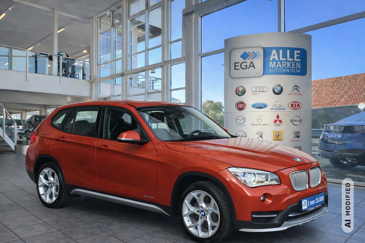 BMW X1sDrive18i X-LINE 1H*59TKM*XENON*ALU 18