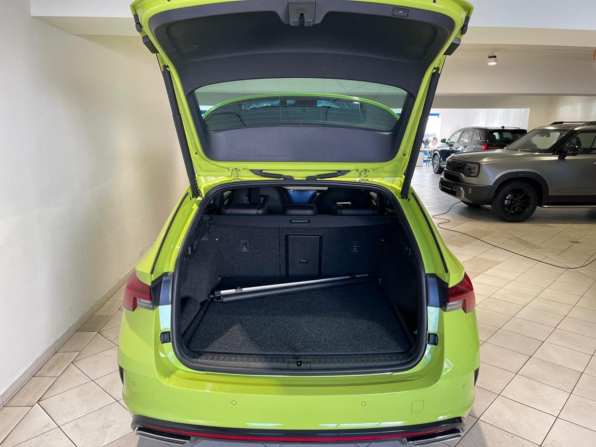 Skoda Octavia Combi RS I.V. Matrix Head Up 5J Garantie DCC