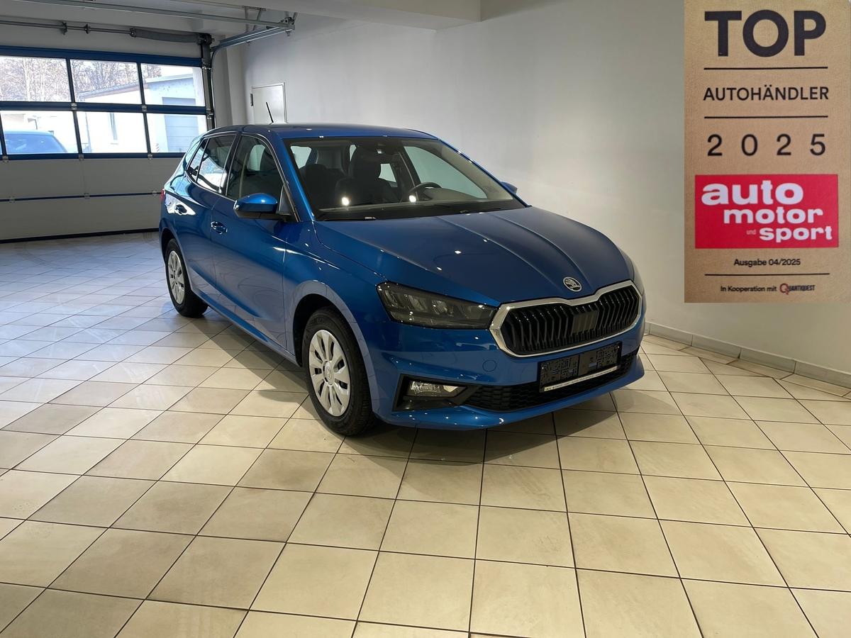 Skoda Fabia 1.0TSI Selection 5J.Garantie 