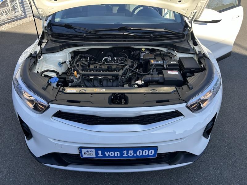 Kia Stonic 1.2 EDITION  7 KLIMA*BTH*SMART-LINK*ALU*ALLWETTER
