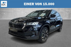 Bild Skoda Karoq Selection 1.5 TSI DSG 150PS/110kW 2026 ...
