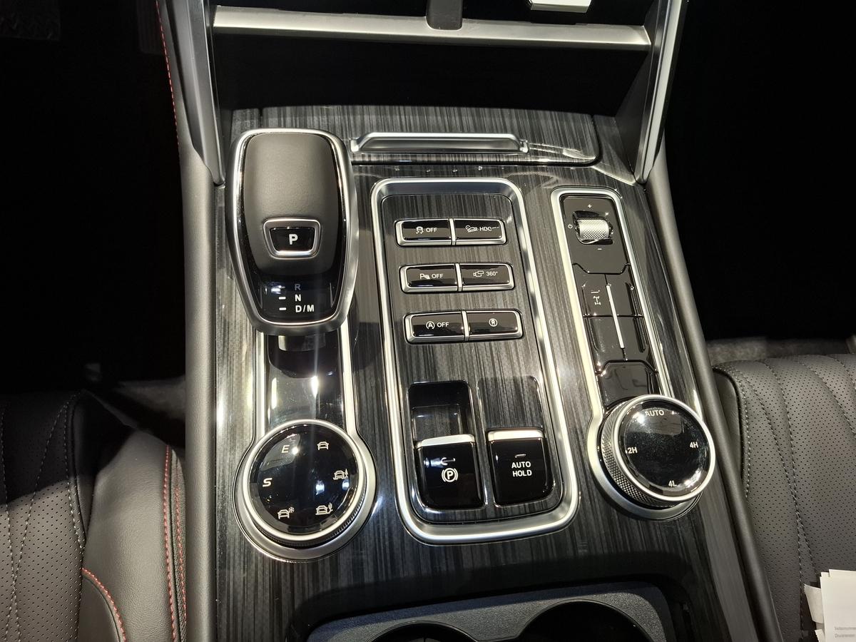 Foton 4 Ultra Sitzbelüftung Panorama Leder NEU