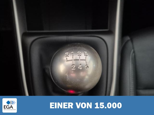 Jeep Avenger Ice Altitude Shz Navi Kamera PDC Leder