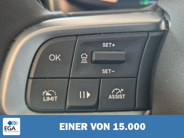 Jeep Avenger Ice Altitude Shz Navi Kamera PDC Leder