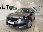 Bild Skoda Kamiq 1.0 TSI Style*Kamera*
