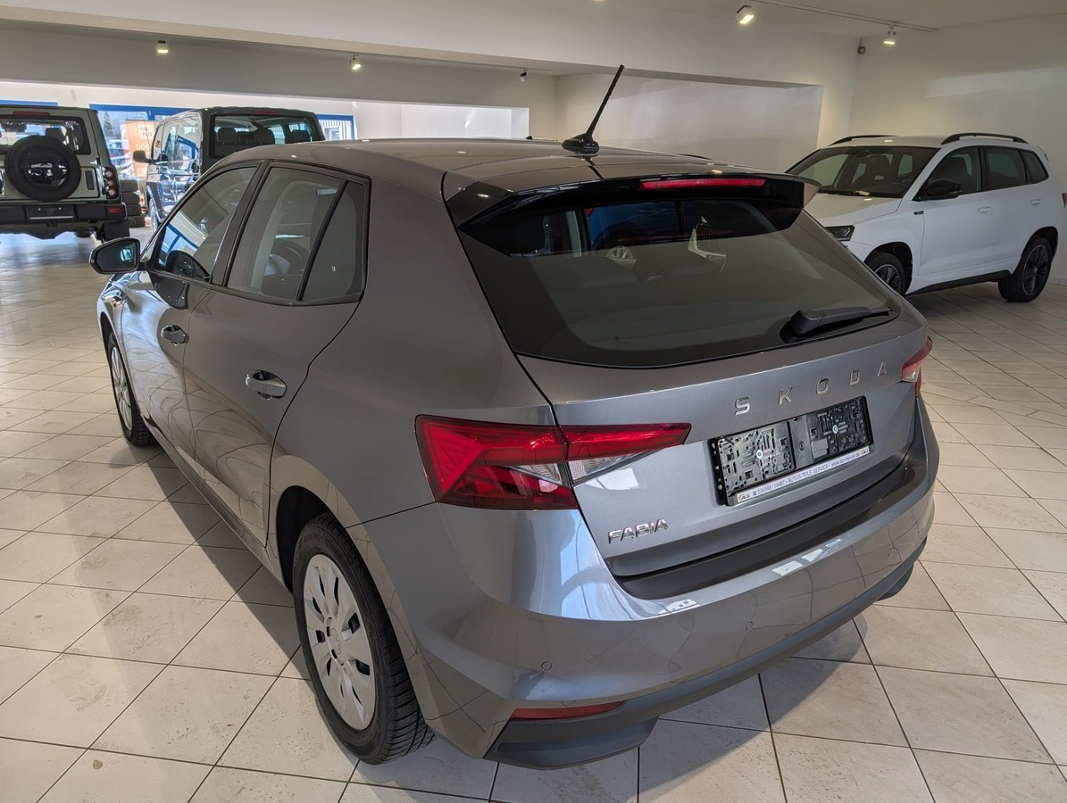 Skoda Fabia 1.0MPI SHZ PDC 5J.Garantie