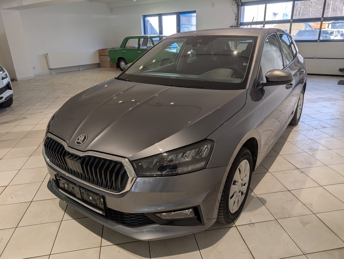 Skoda Fabia 1.0MPI SHZ PDC 5J.Garantie